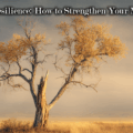 The Science of Resilience: How to Strengthen Your Mental Toughness